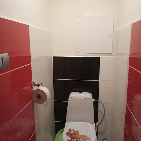 公寓 Tatry-nova Lesna *